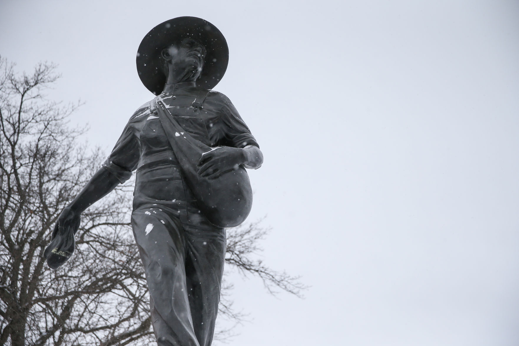 Seed Sower